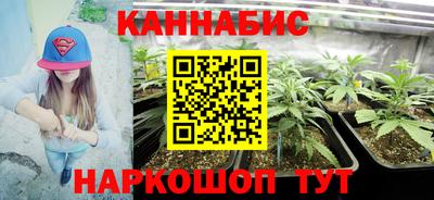 шишки Краснодар