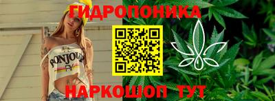 шишки Краснодар