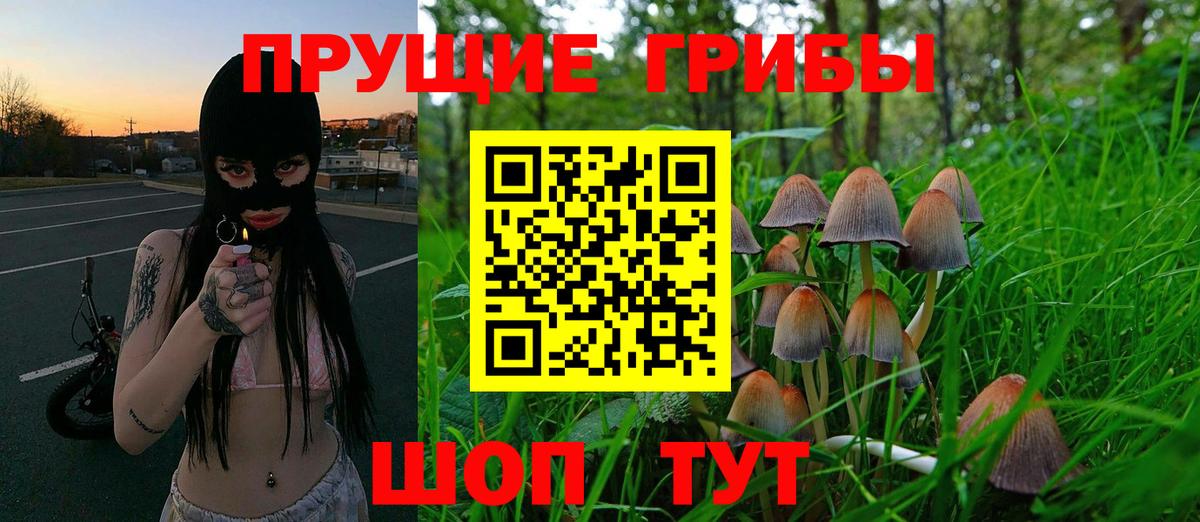 Псилоцибиновые грибы Magic Shrooms Кемерово