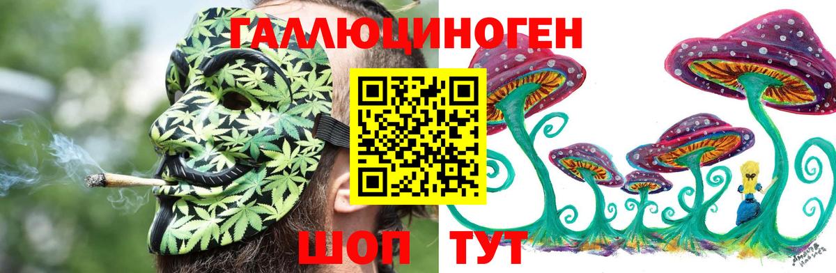 Псилоцибиновые грибы MAGIC MUSHROOMS  Вход с VPN  купить закладку  Псилоцибиновые грибы Psilocybine cubensis  Кемерово 